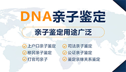 扬州做DNA亲子鉴定的医院在哪里，扬州医院亲子鉴定预约办理