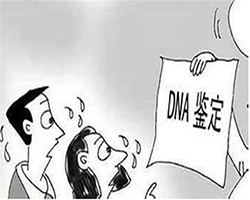 扬州迁户亲子鉴定费用是多少钱，扬州上户口亲子鉴定咨询预约