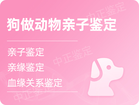 扬州狗做动物亲子鉴定