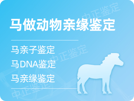 扬州马做动物亲缘鉴定