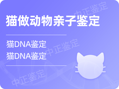 扬州猫做动物亲子鉴定