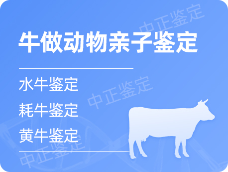 扬州牛做动物亲子鉴定