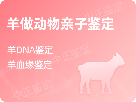 扬州羊做动物亲缘鉴定