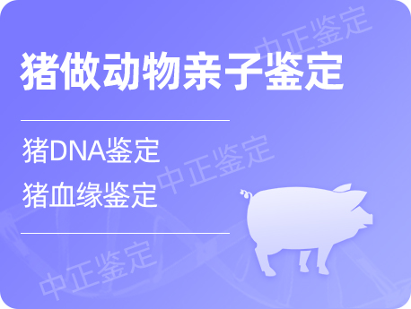 扬州猪做动物亲子鉴定